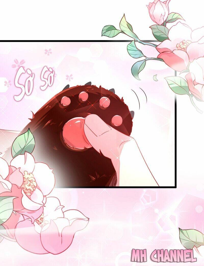 Thiên Thần Gấu Trúc Muốn Được Ôm Chapter 13 - 17