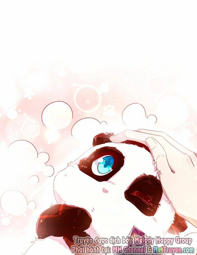 Thiên Thần Gấu Trúc Muốn Được Ôm Chapter 13 - 20