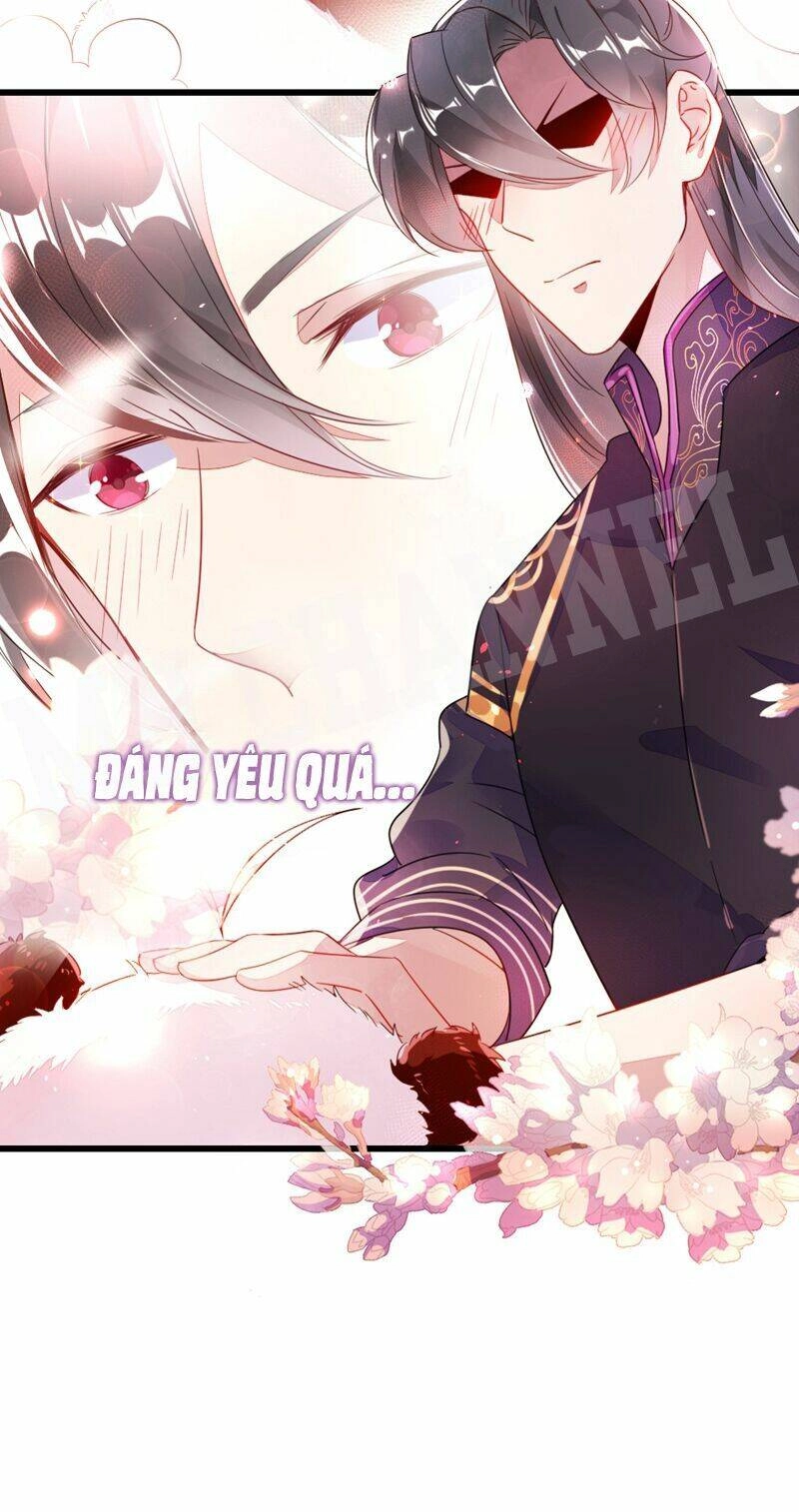 Thiên Thần Gấu Trúc Muốn Được Ôm Chapter 13 - 21