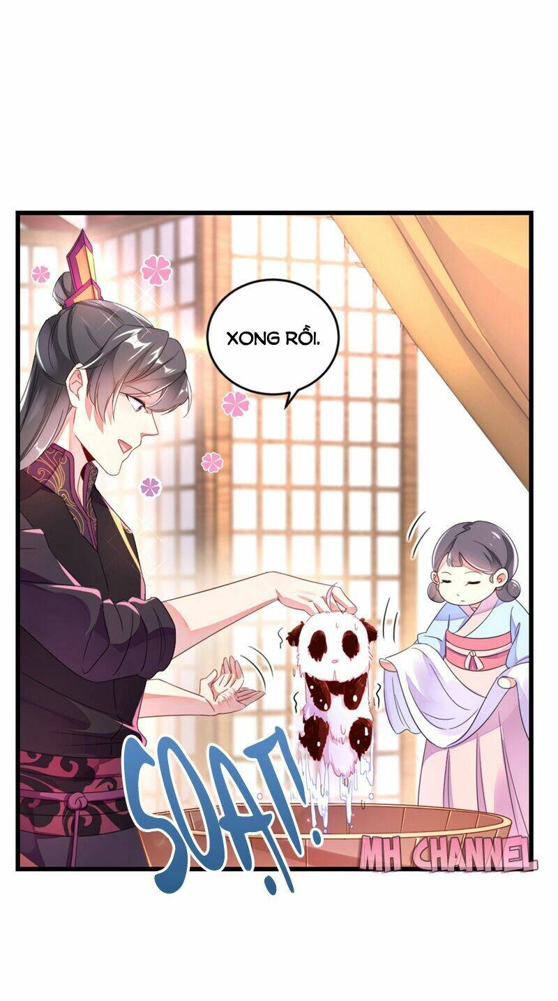 Thiên Thần Gấu Trúc Muốn Được Ôm Chapter 13 - 22