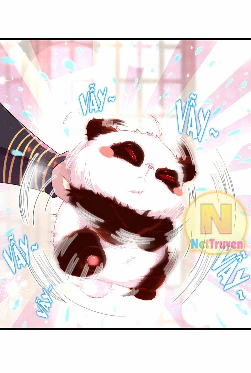 Thiên Thần Gấu Trúc Muốn Được Ôm Chapter 13 - 23