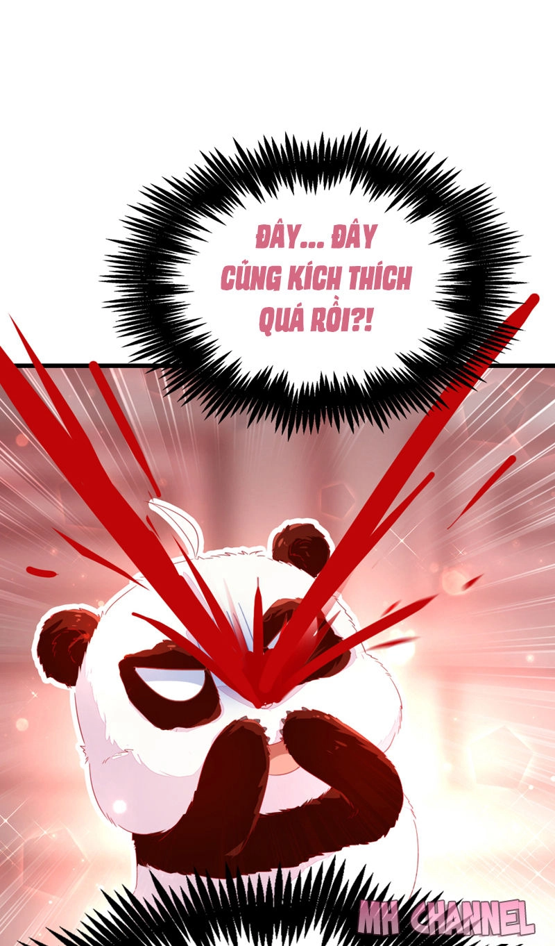 Thiên Thần Gấu Trúc Muốn Được Ôm Chapter 14 - 17