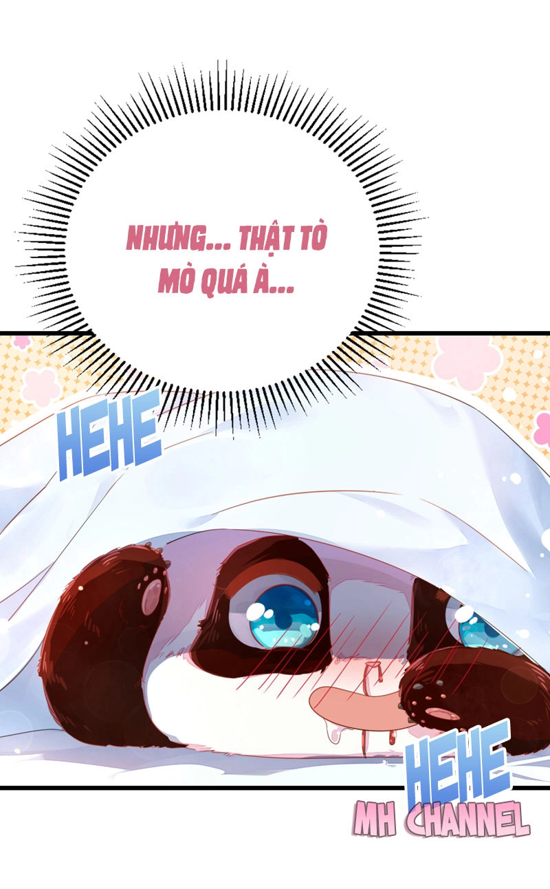 Thiên Thần Gấu Trúc Muốn Được Ôm Chapter 14 - 20