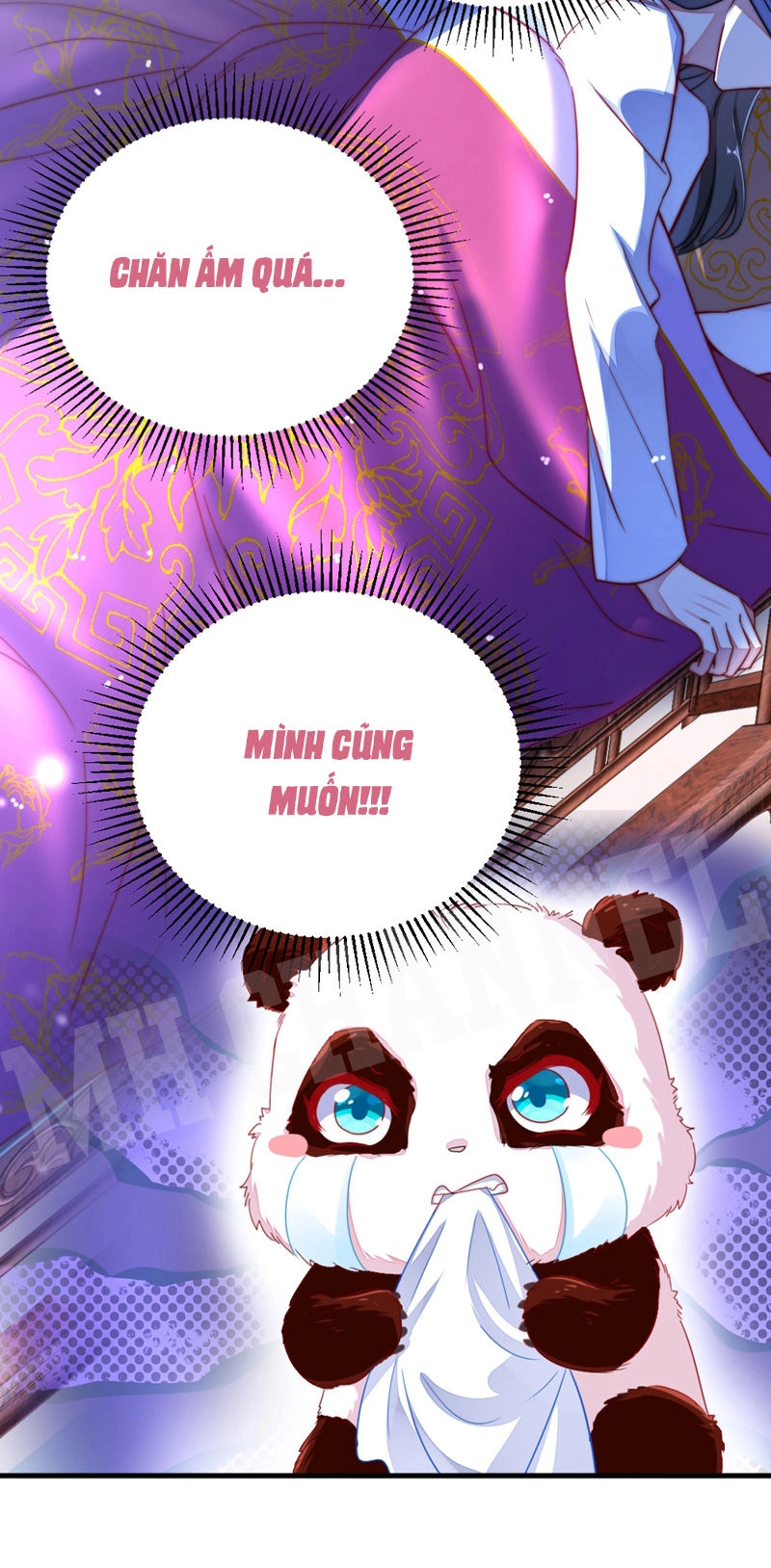 Thiên Thần Gấu Trúc Muốn Được Ôm Chapter 15 - 6