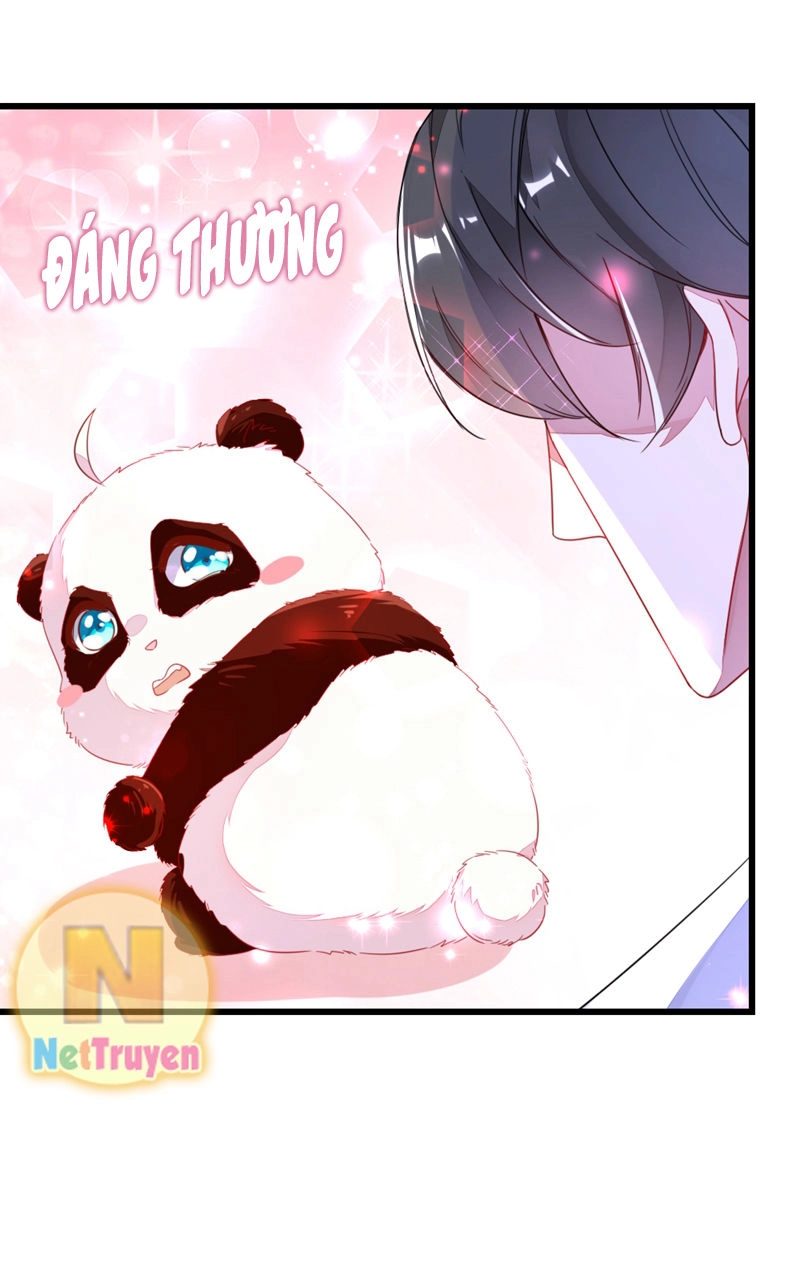 Thiên Thần Gấu Trúc Muốn Được Ôm Chapter 15 - 13