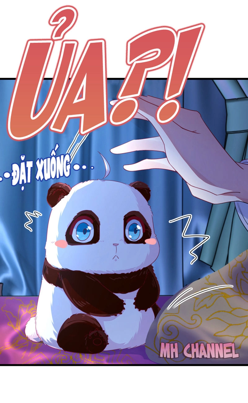 Thiên Thần Gấu Trúc Muốn Được Ôm Chapter 16 - 4