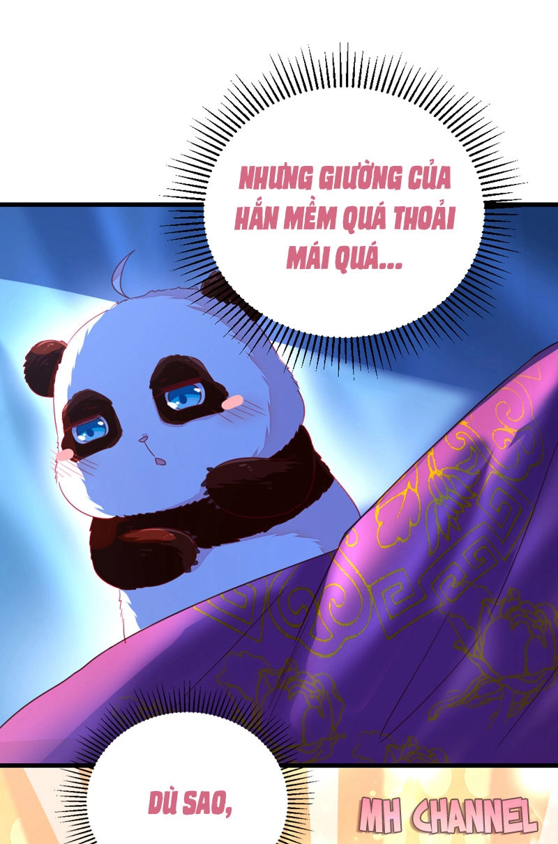 Thiên Thần Gấu Trúc Muốn Được Ôm Chapter 16 - 7