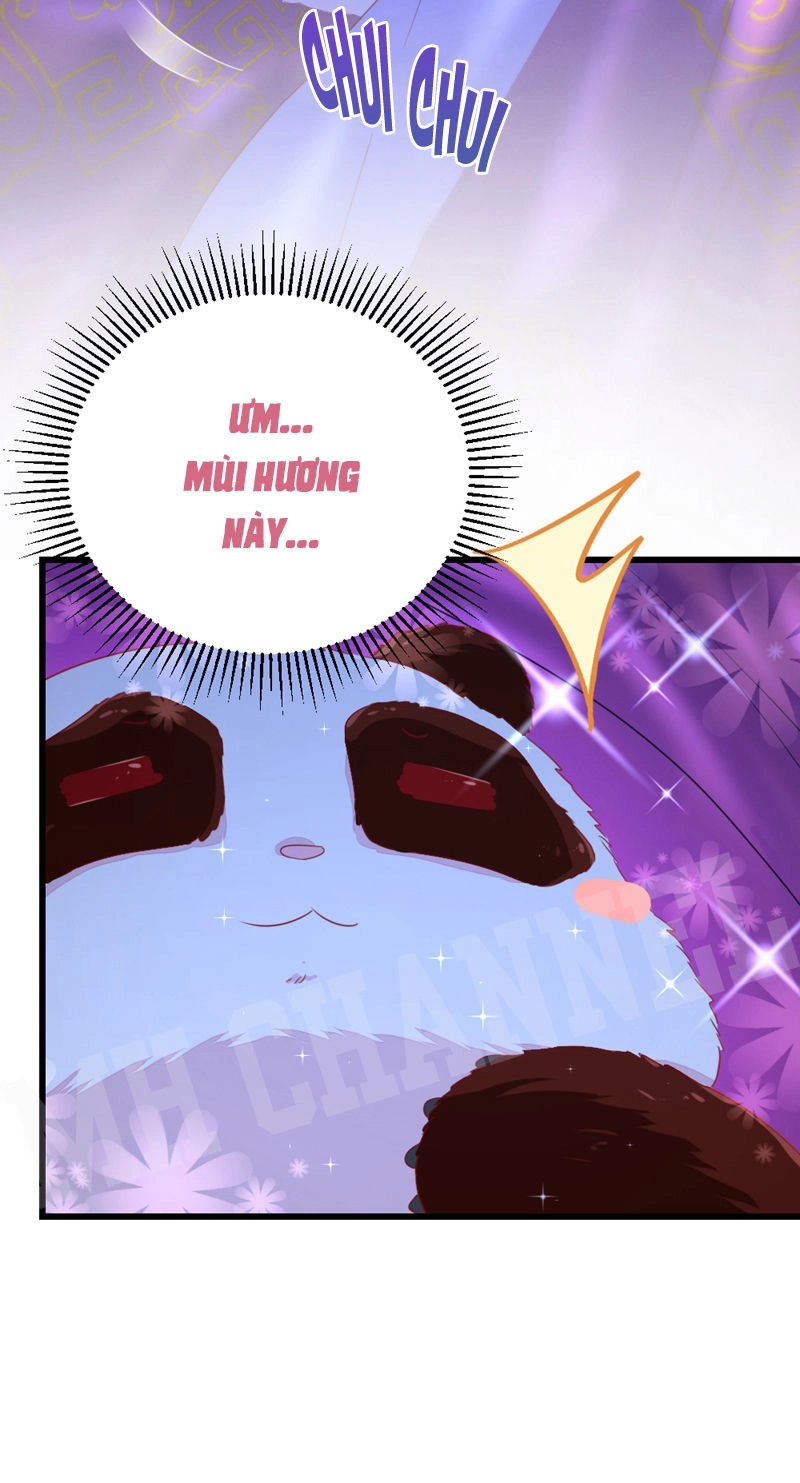 Thiên Thần Gấu Trúc Muốn Được Ôm Chapter 16 - 10