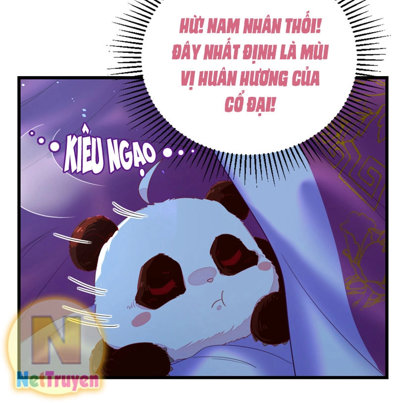 Thiên Thần Gấu Trúc Muốn Được Ôm Chapter 16 - 12