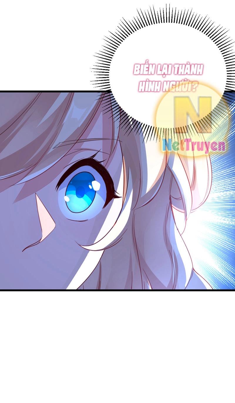 Thiên Thần Gấu Trúc Muốn Được Ôm Chapter 18 - 17