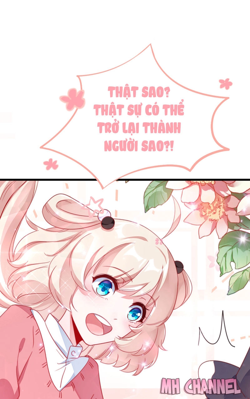 Thiên Thần Gấu Trúc Muốn Được Ôm Chapter 18 - 18