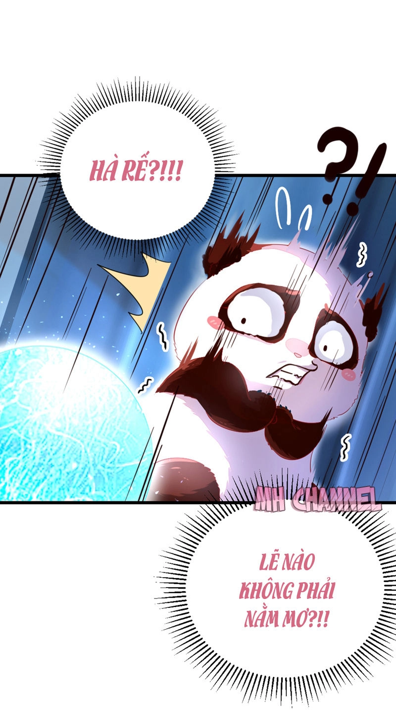 Thiên Thần Gấu Trúc Muốn Được Ôm Chapter 19 - 14