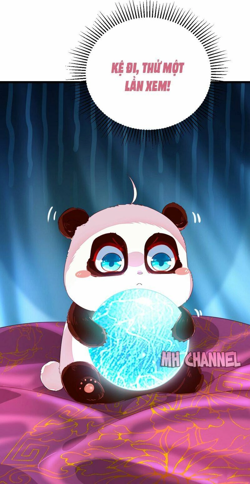 Thiên Thần Gấu Trúc Muốn Được Ôm Chapter 20 - 8