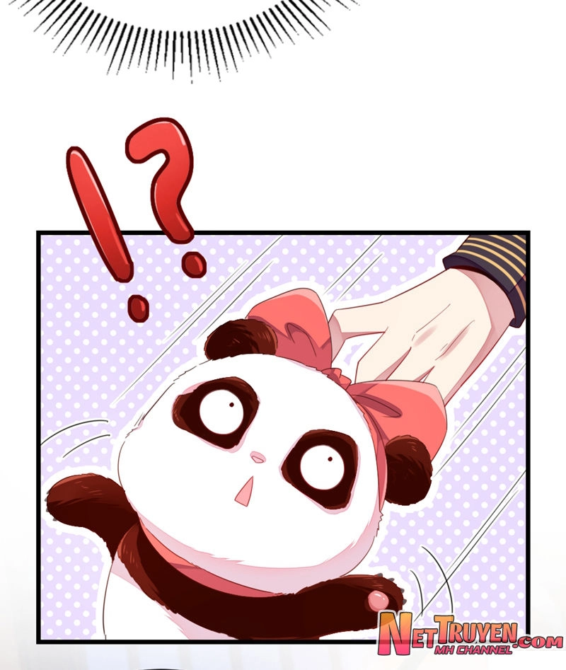 Thiên Thần Gấu Trúc Muốn Được Ôm Chapter 25 - 6