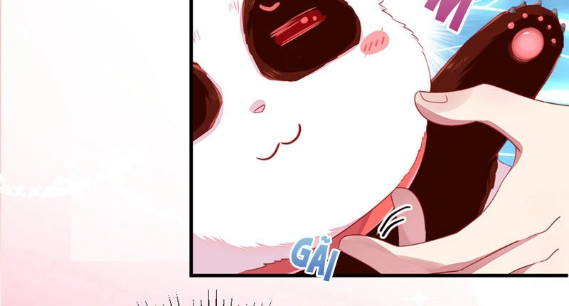 Thiên Thần Gấu Trúc Muốn Được Ôm Chapter 25 - 11