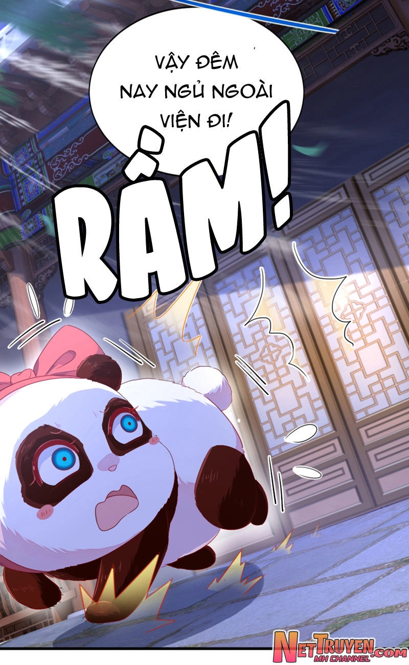 Thiên Thần Gấu Trúc Muốn Được Ôm Chapter 25 - 17