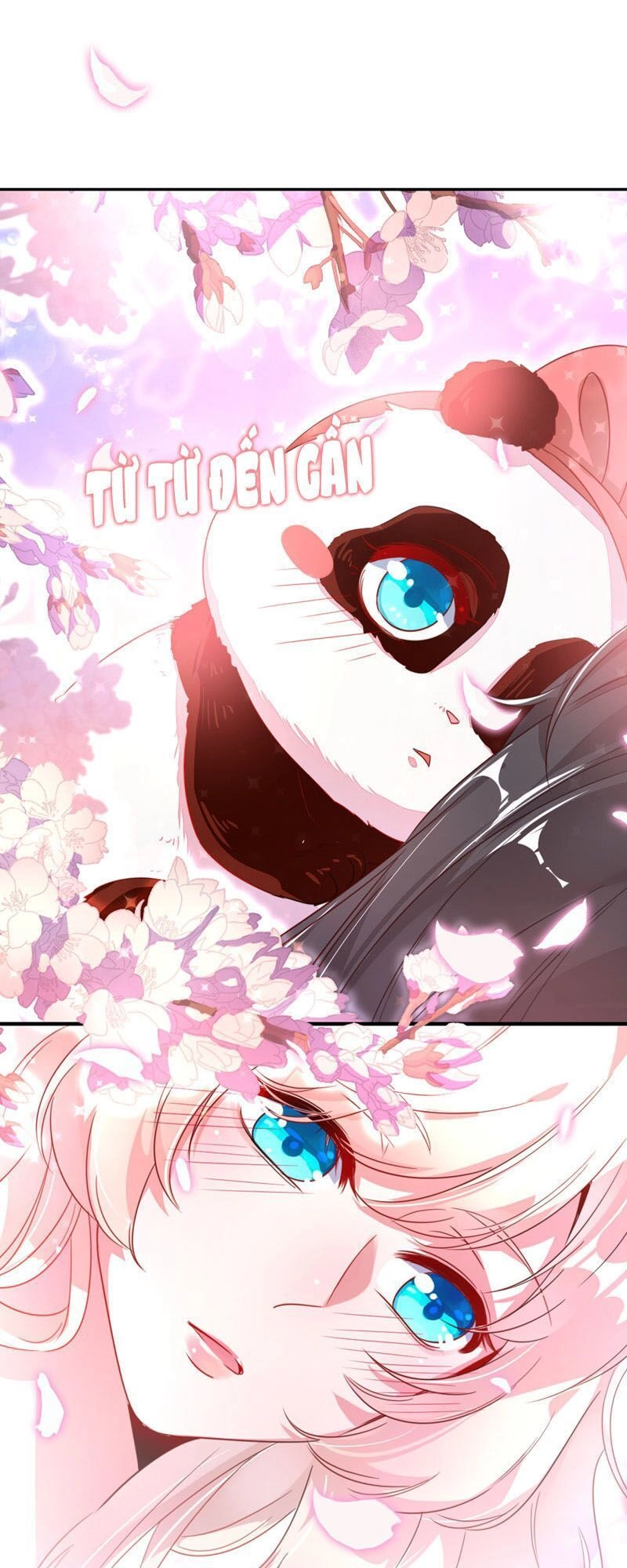 Thiên Thần Gấu Trúc Muốn Được Ôm Chapter 30 - 6