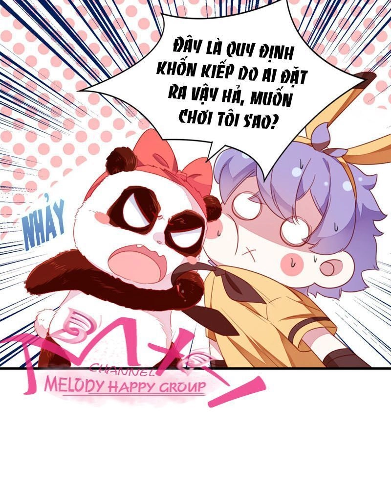 Thiên Thần Gấu Trúc Muốn Được Ôm Chapter 30 - 19