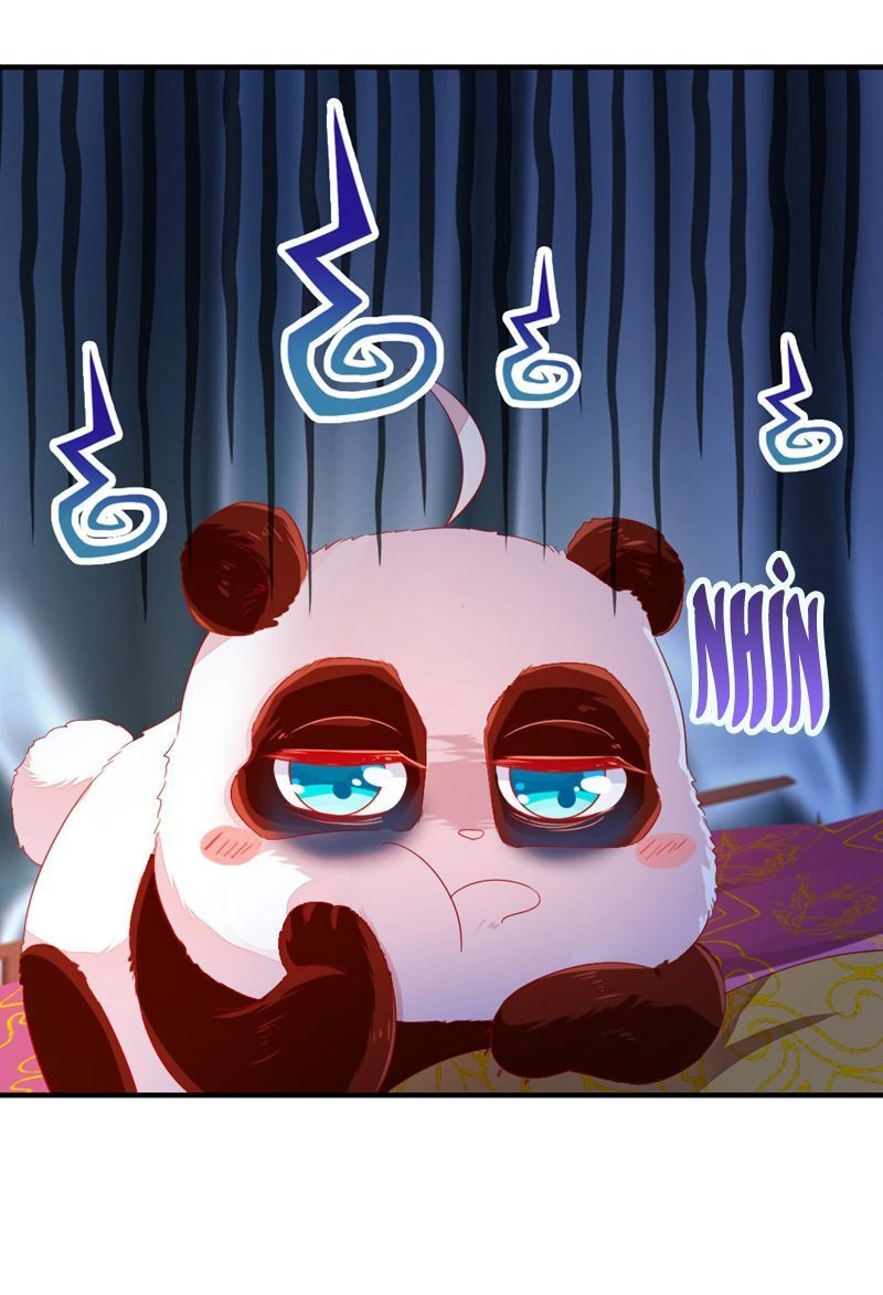 Thiên Thần Gấu Trúc Muốn Được Ôm Chapter 38 - 5