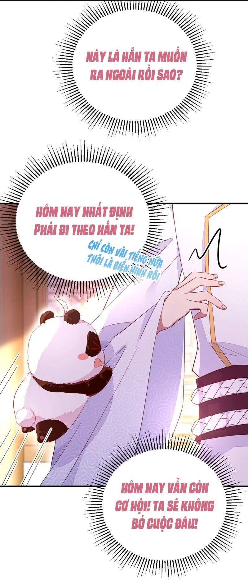 Thiên Thần Gấu Trúc Muốn Được Ôm Chapter 39 - 4