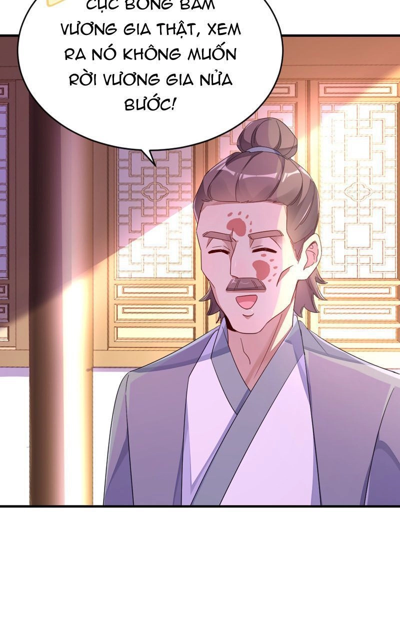 Thiên Thần Gấu Trúc Muốn Được Ôm Chapter 39 - 13