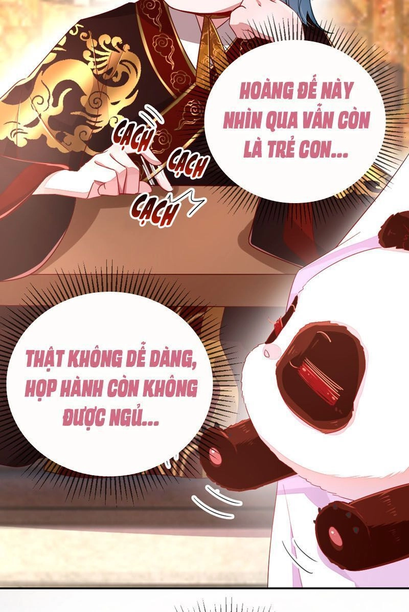 Thiên Thần Gấu Trúc Muốn Được Ôm Chapter 40 - 7