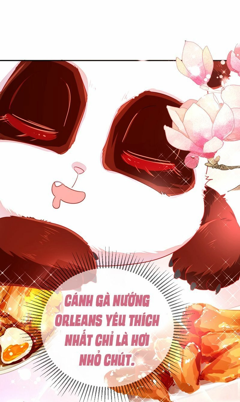 Thiên Thần Gấu Trúc Muốn Được Ôm Chapter 41 - 4