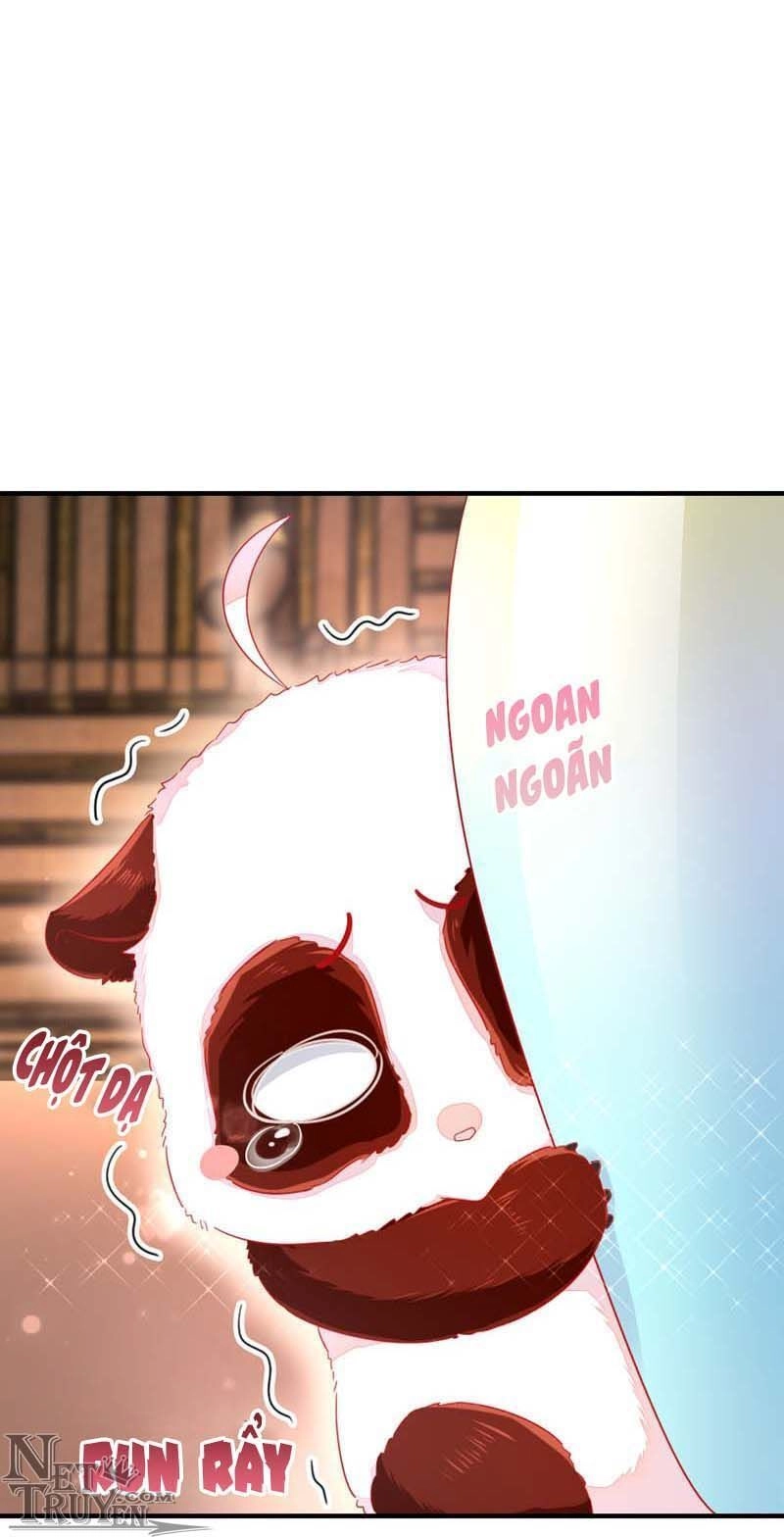 Thiên Thần Gấu Trúc Muốn Được Ôm Chapter 42 - 4