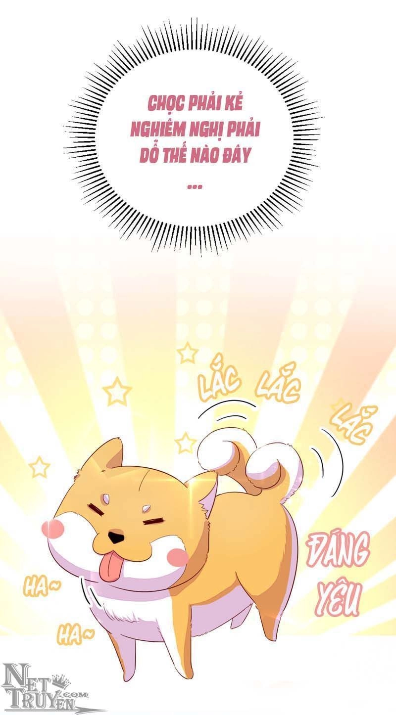 Thiên Thần Gấu Trúc Muốn Được Ôm Chapter 42 - 6