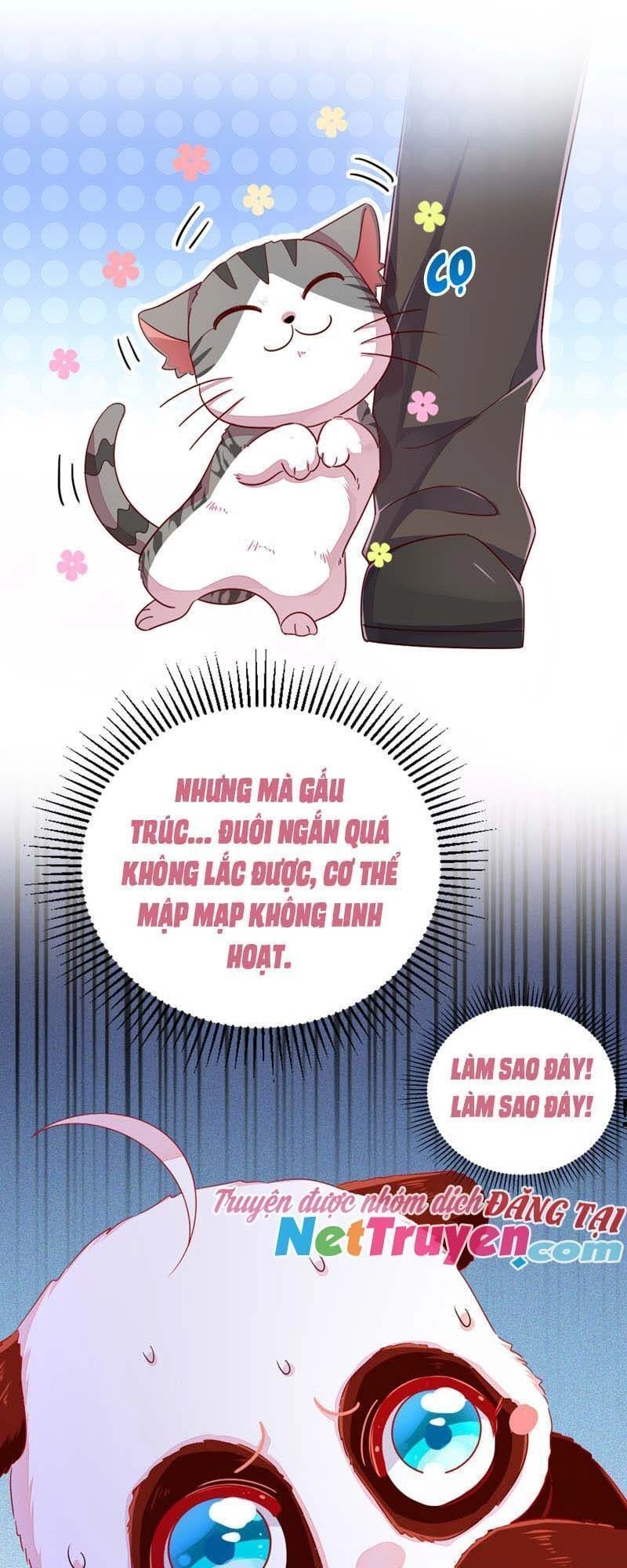 Thiên Thần Gấu Trúc Muốn Được Ôm Chapter 42 - 7