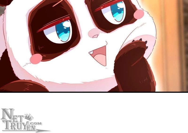 Thiên Thần Gấu Trúc Muốn Được Ôm Chapter 42 - 20