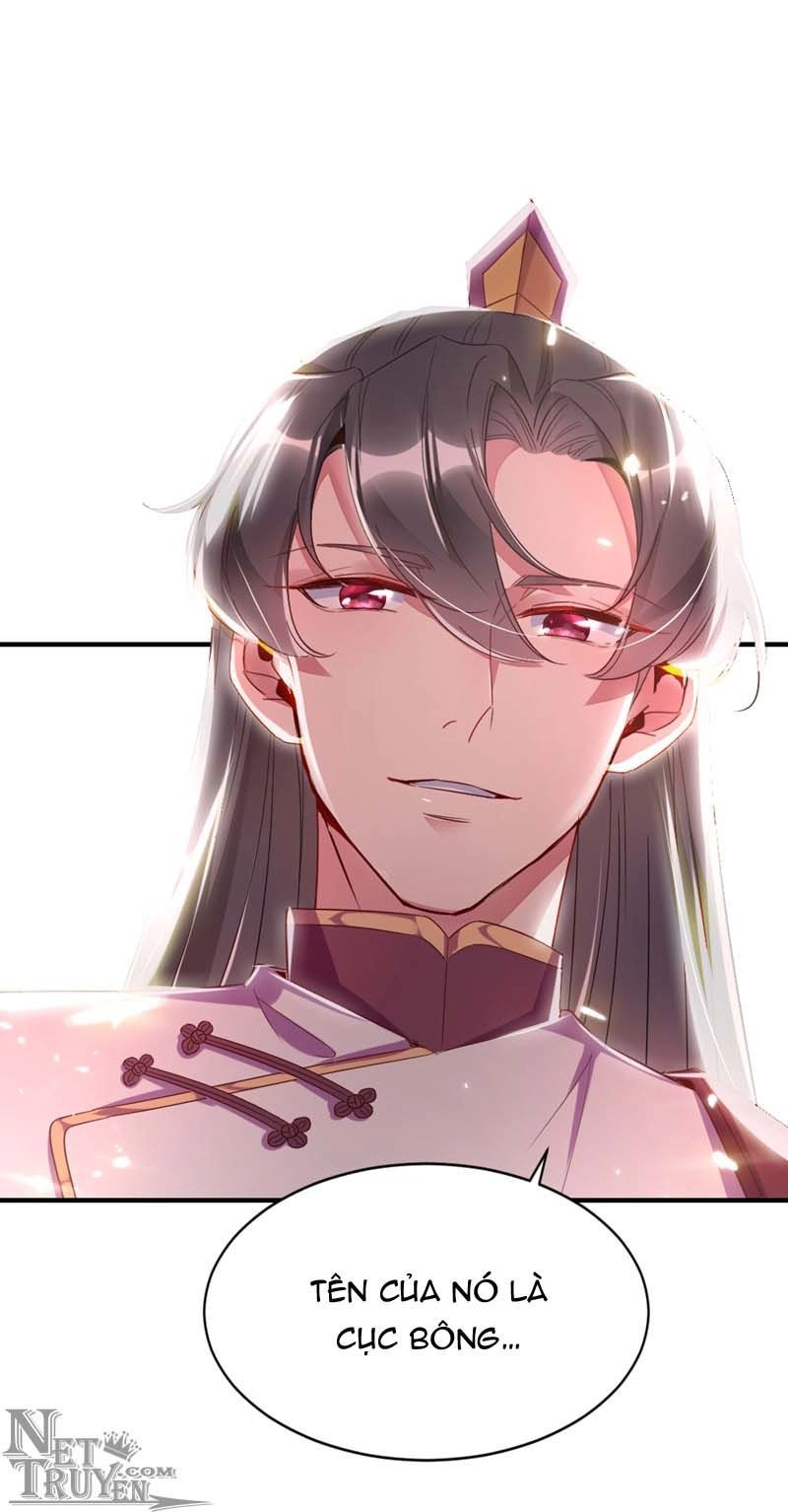 Thiên Thần Gấu Trúc Muốn Được Ôm Chapter 43 - 12