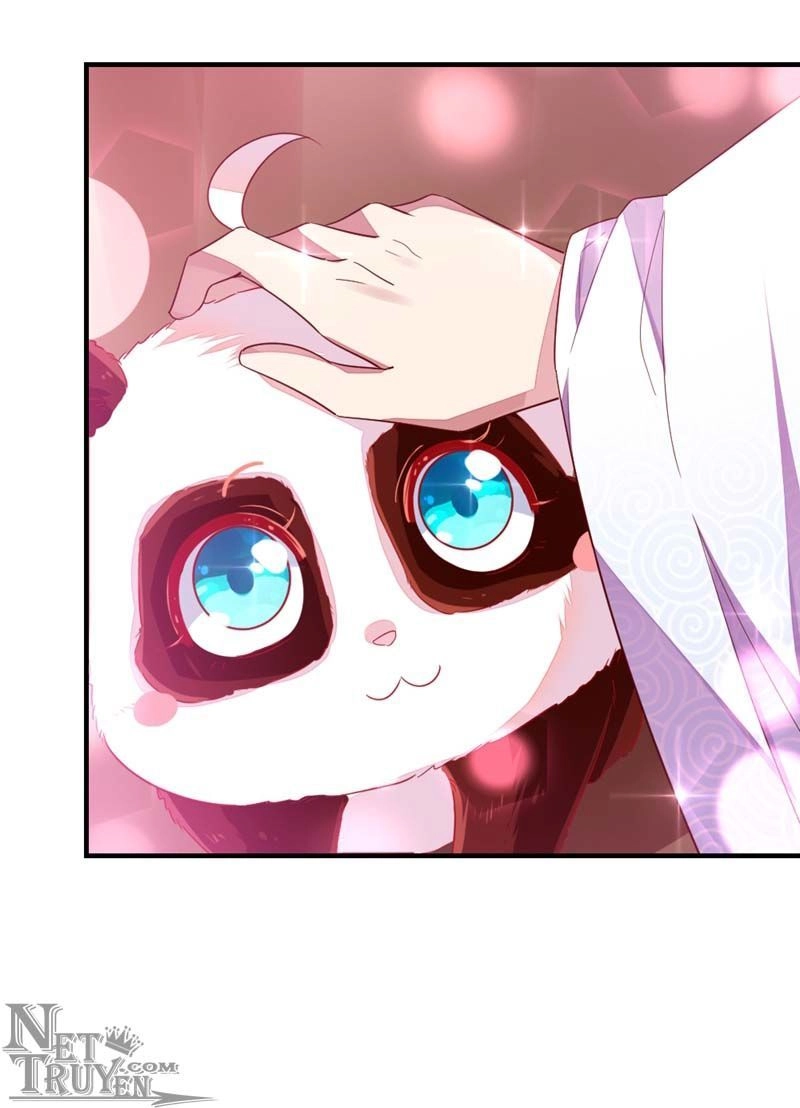 Thiên Thần Gấu Trúc Muốn Được Ôm Chapter 43 - 13