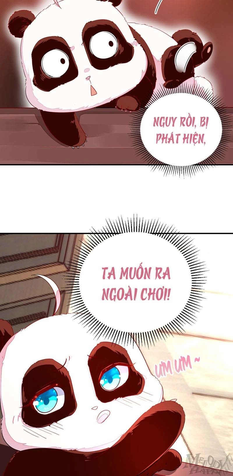 Thiên Thần Gấu Trúc Muốn Được Ôm Chapter 45 - 7