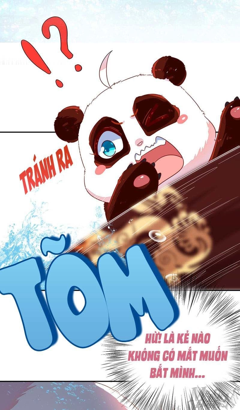 Thiên Thần Gấu Trúc Muốn Được Ôm Chapter 46 - 16