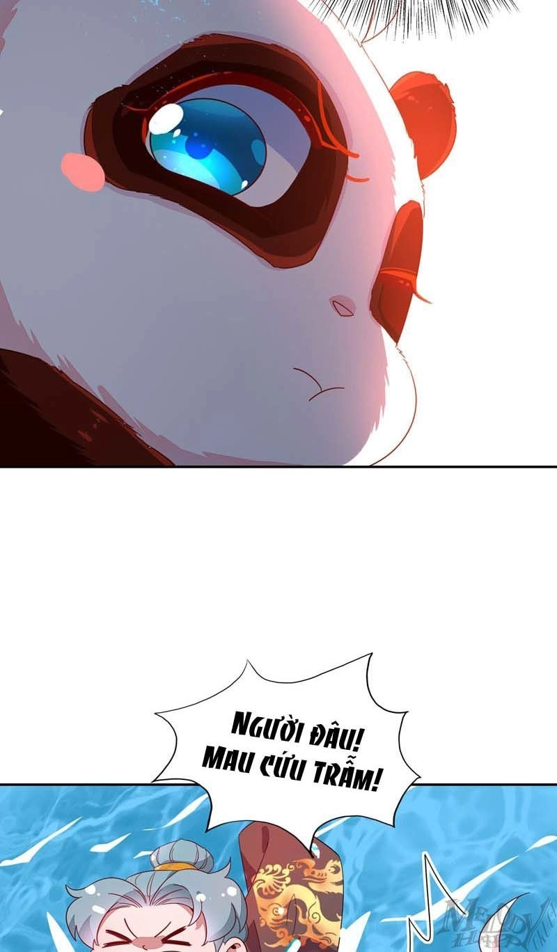 Thiên Thần Gấu Trúc Muốn Được Ôm Chapter 46 - 17