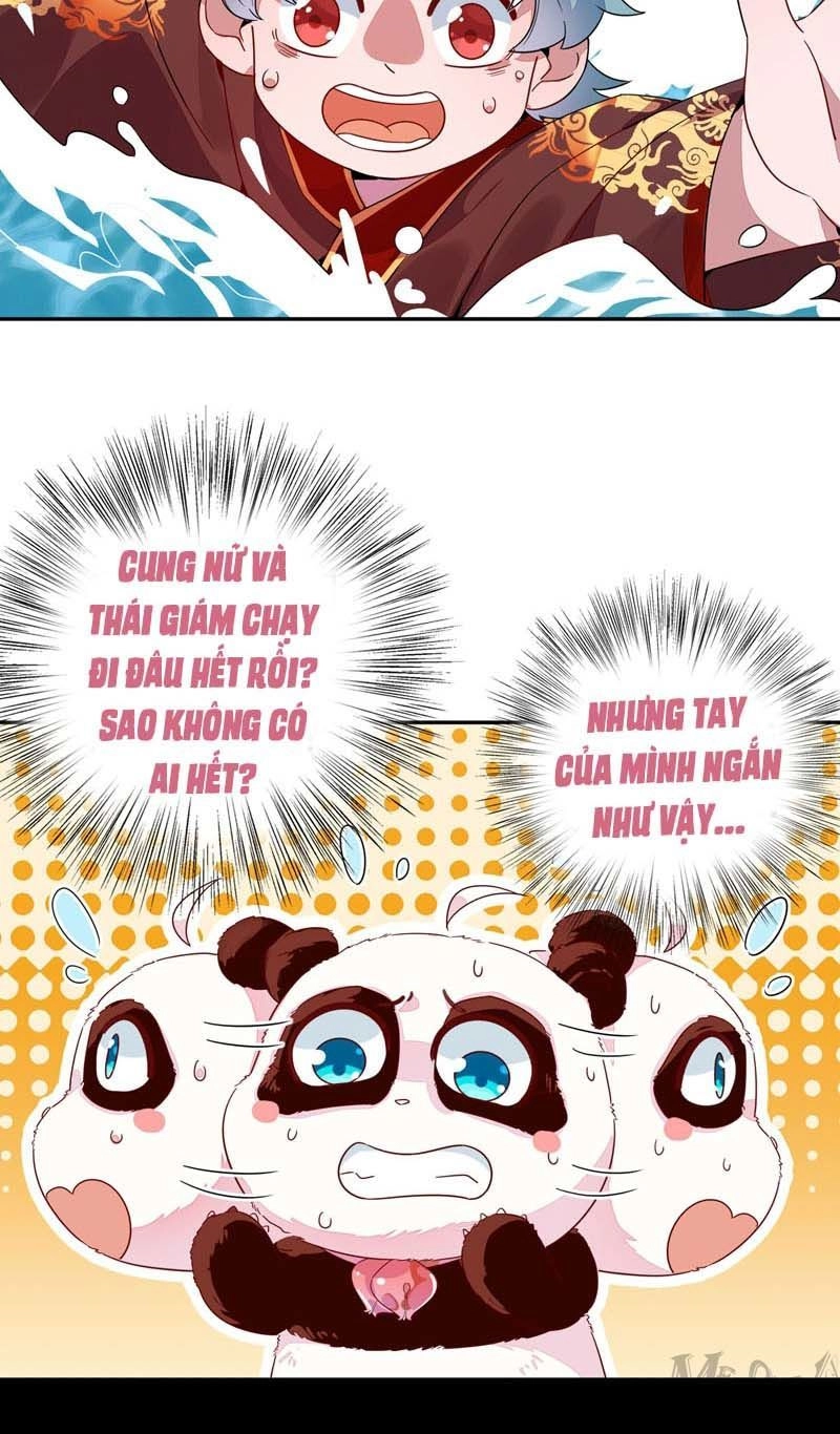 Thiên Thần Gấu Trúc Muốn Được Ôm Chapter 46 - 19