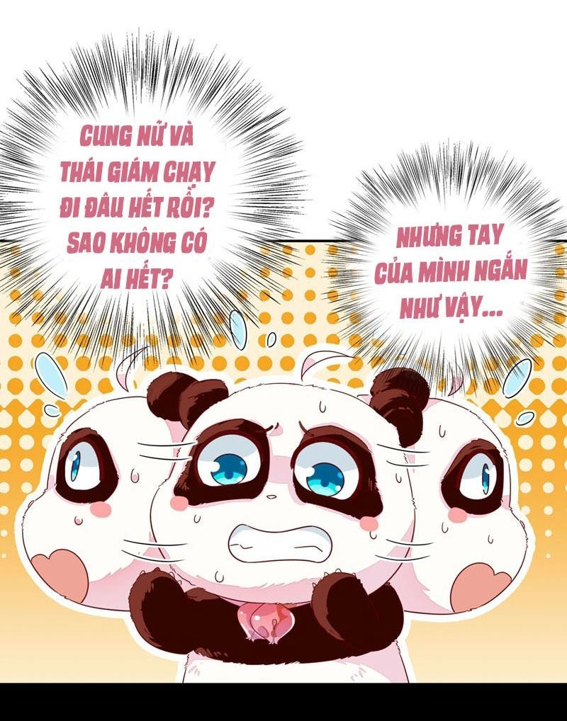 Thiên Thần Gấu Trúc Muốn Được Ôm Chapter 47 - 3