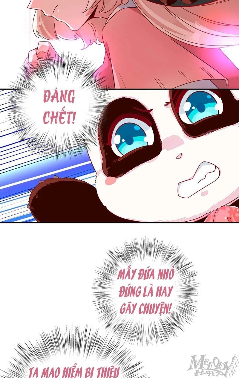 Thiên Thần Gấu Trúc Muốn Được Ôm Chapter 47 - 5