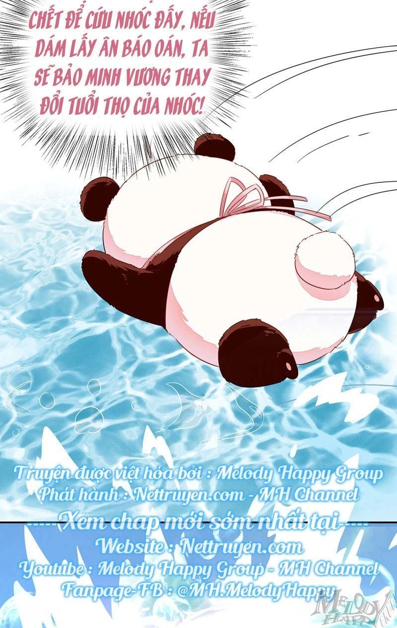 Thiên Thần Gấu Trúc Muốn Được Ôm Chapter 47 - 6