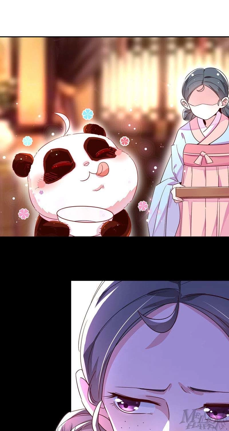 Thiên Thần Gấu Trúc Muốn Được Ôm Chapter 50 - 11