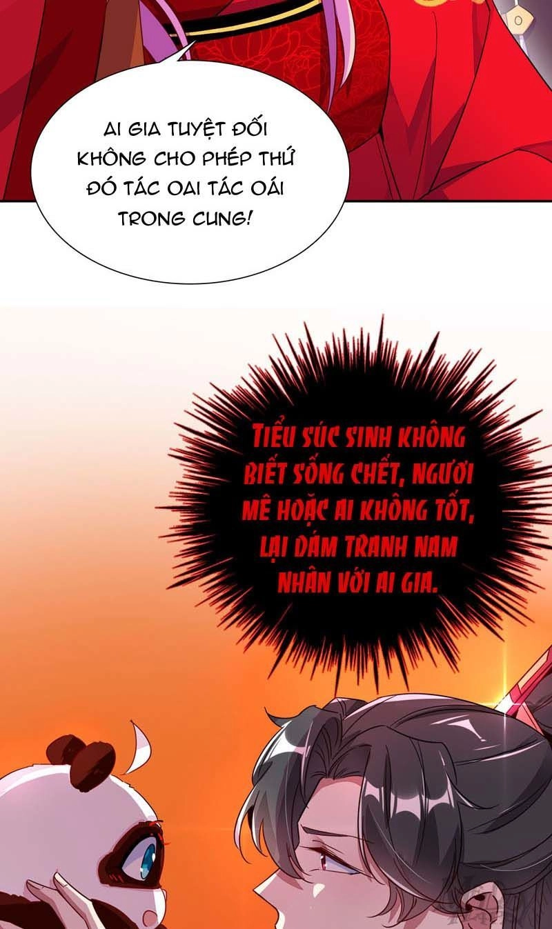 Thiên Thần Gấu Trúc Muốn Được Ôm Chapter 50 - 22