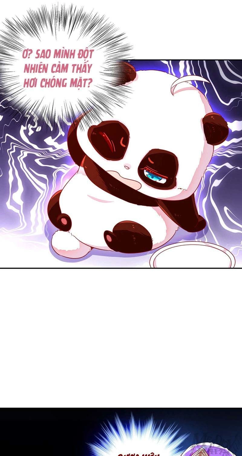 Thiên Thần Gấu Trúc Muốn Được Ôm Chapter 50 - 25