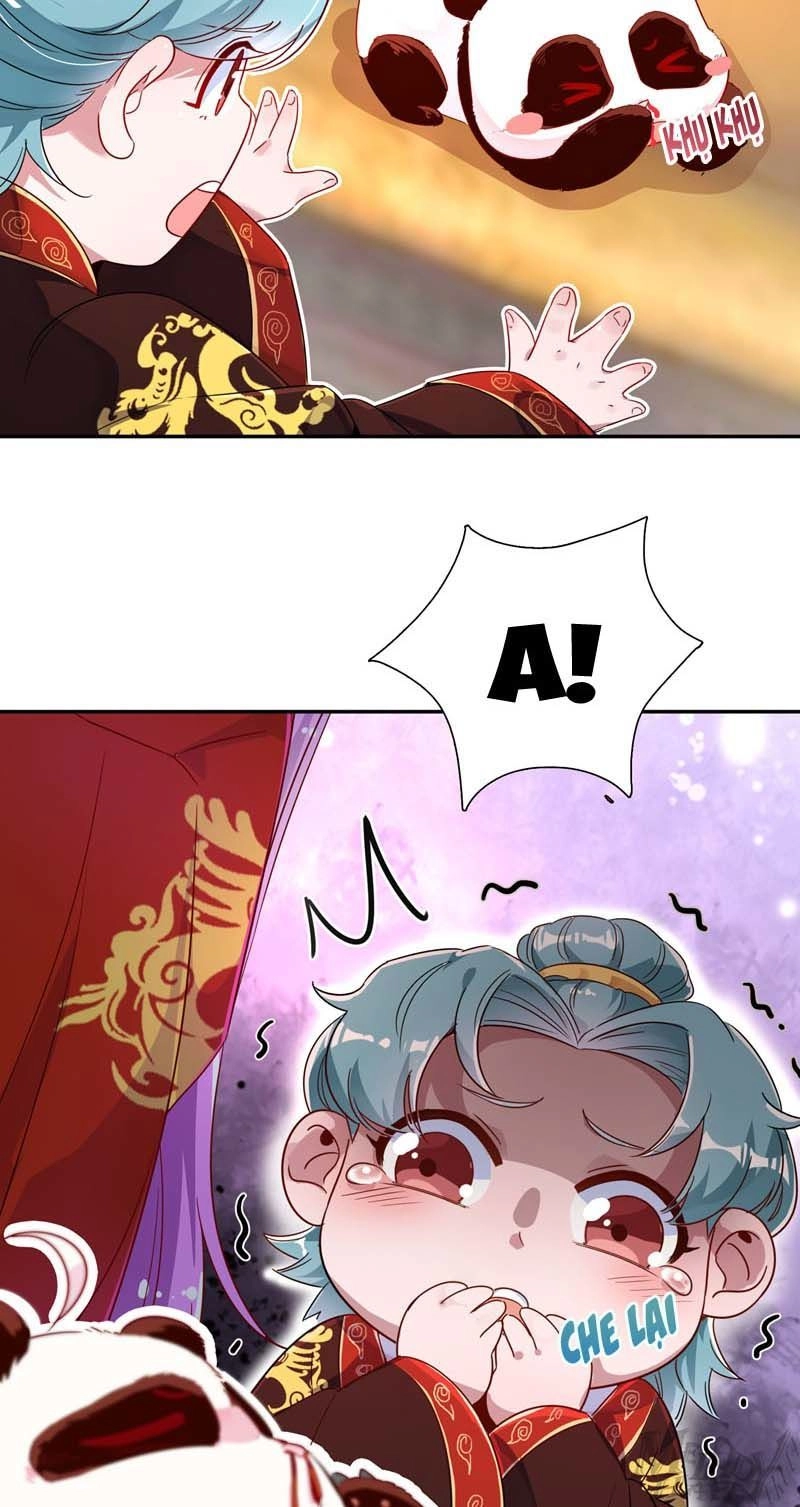 Thiên Thần Gấu Trúc Muốn Được Ôm Chapter 50 - 27