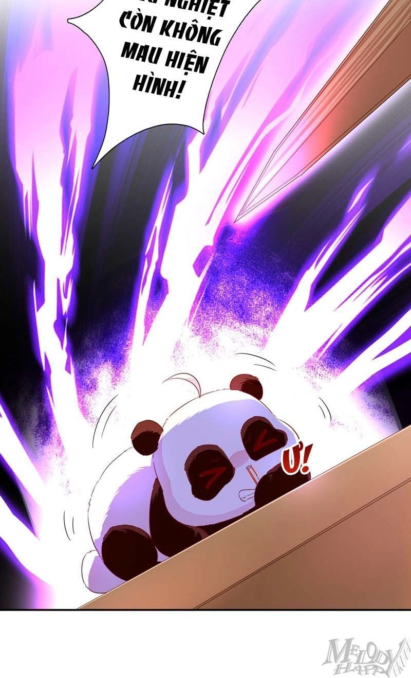 Thiên Thần Gấu Trúc Muốn Được Ôm Chapter 50 - 34