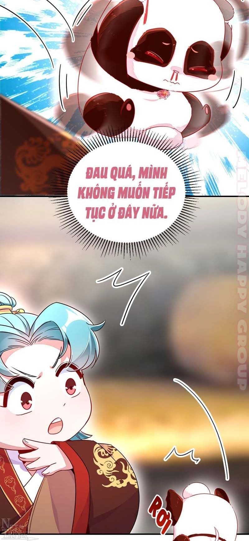 Thiên Thần Gấu Trúc Muốn Được Ôm Chapter 51 - 12