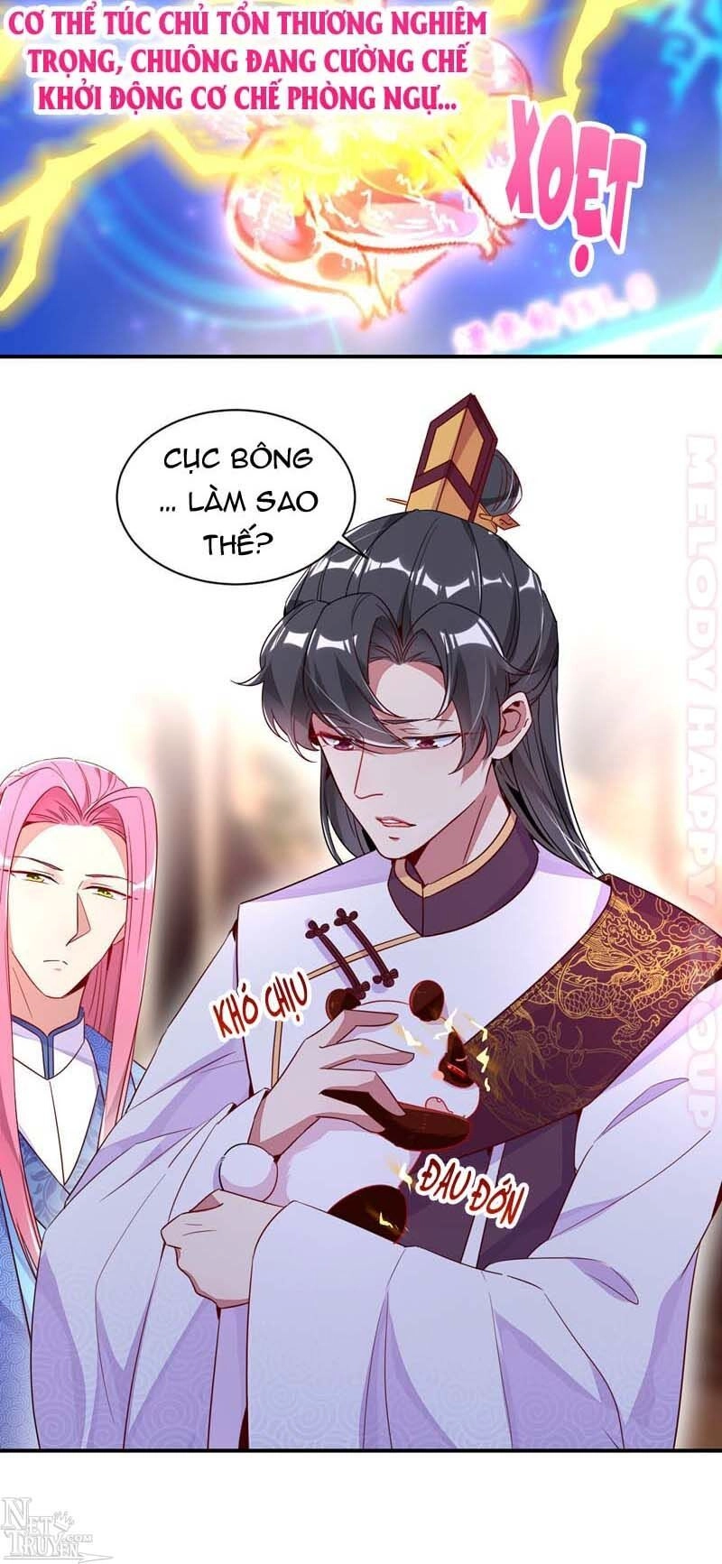 Thiên Thần Gấu Trúc Muốn Được Ôm Chapter 51 - 16