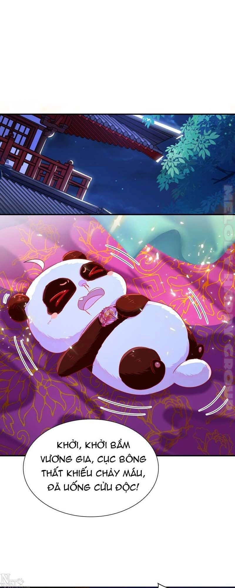 Thiên Thần Gấu Trúc Muốn Được Ôm Chapter 52 - 14