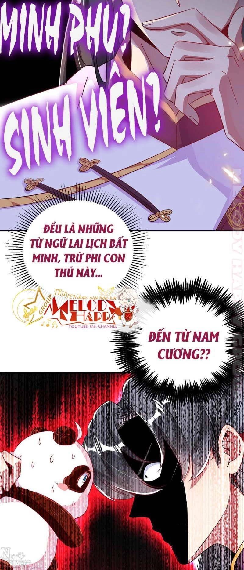 Thiên Thần Gấu Trúc Muốn Được Ôm Chapter 55 - 20