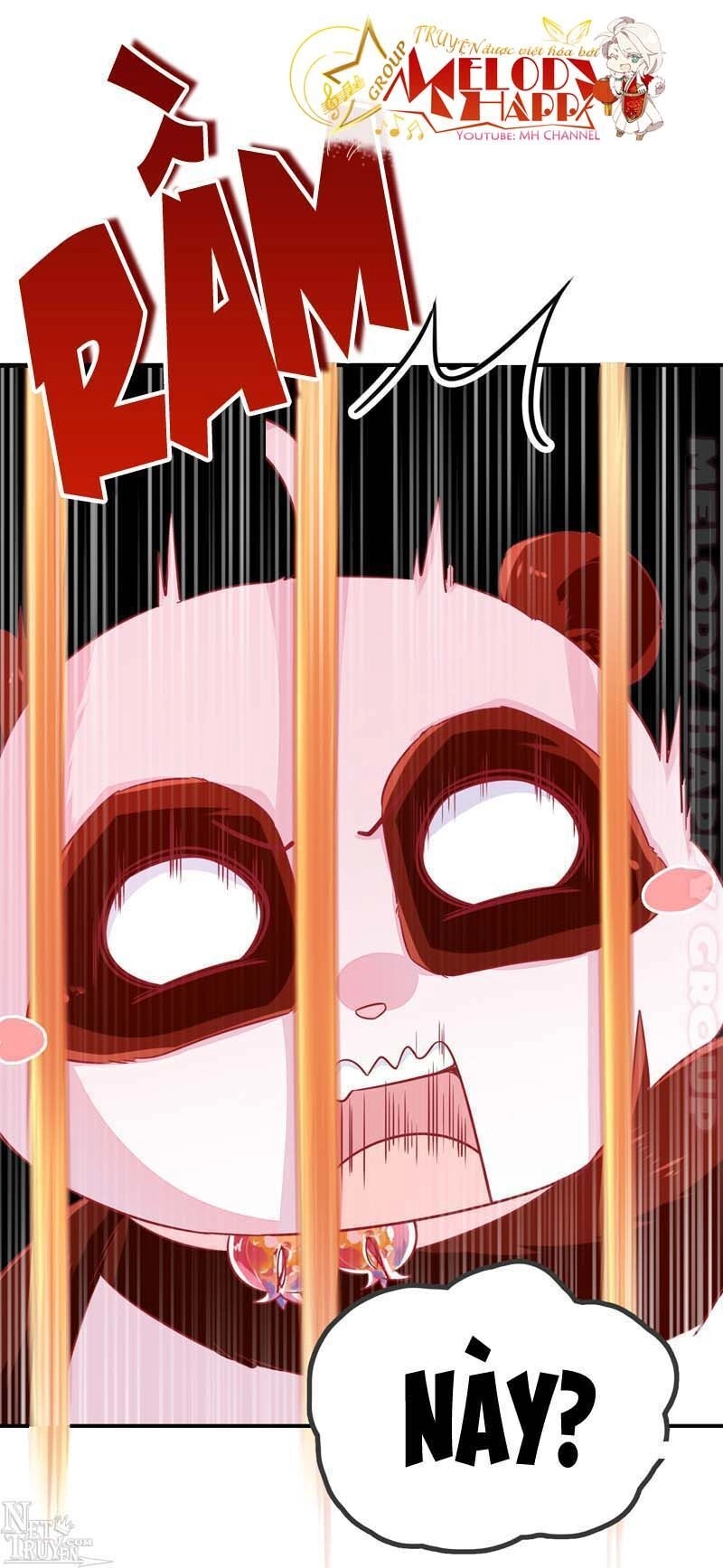 Thiên Thần Gấu Trúc Muốn Được Ôm Chapter 56 - 17